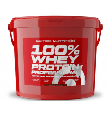 Scitec Nutrition Whey Protein 5000 г, Белый шоколад
