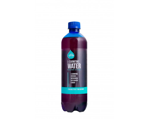 VitUp Спортивный напиток газированный L-carnitine water 500 мл, Лайм-Мята