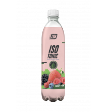 2SN Isotonic с натуральным соком 500 мл, Лесные ягоды