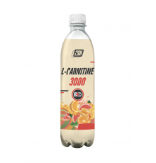2SN L-Carnitine 3000 с натуральным соком 500 мл, Лесные ягоды