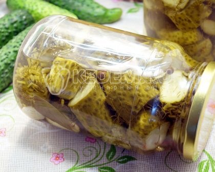 Маринованные огурцы с укропом